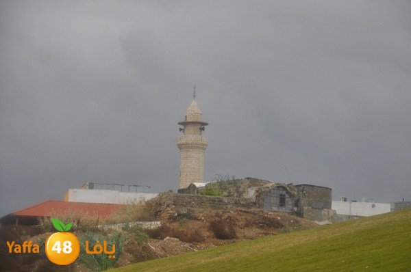 yaffa rain 1211 (38).JPG